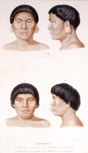 Estudio antropométrico de dos indios Botocudos, grabado por Fournier, mediados del siglo XIX de Werner Werner