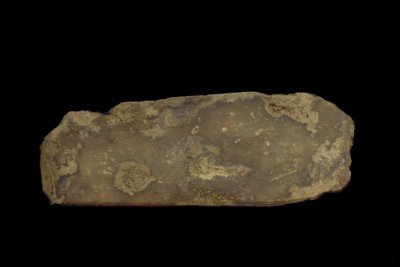Fragmento de un arma ceremonial (jade (nefrita)) de Western Zhou Dynasty Chinese School