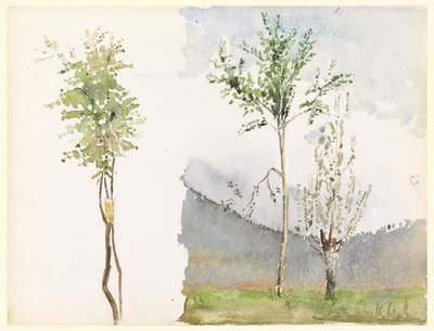Bocetos de paisajes de Whitney Warren Jr.