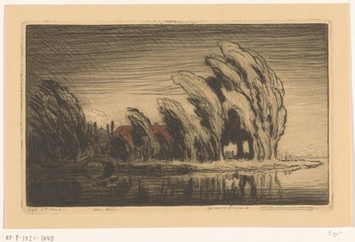Granja frente al mar en una tormenta
Una borrasca (título original) de Wijnand Otto Jan Nieuwenkamp (signed by artist)
