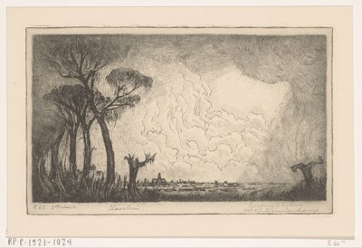 Vista de Haarlem (título original) de Wijnand Otto Jan Nieuwenkamp (signed by artist)