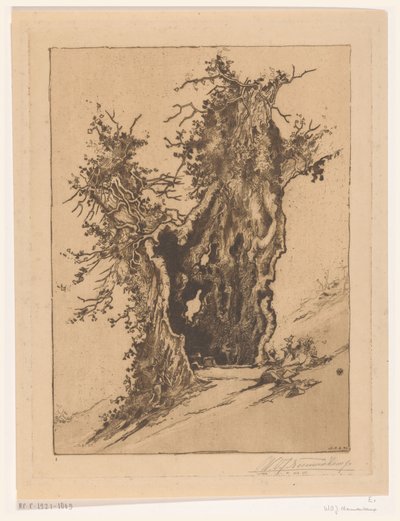 Árbol hueco cerca de Seelisberg en Suiza
Árbol hueco (título original) de Wijnand Otto Jan Nieuwenkamp (signed by artist)