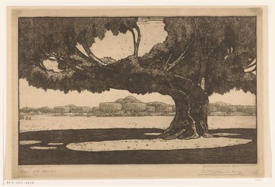 Árboles Waringin en el jardín del palacio del sultán en Yogyakarta
El gran árbol (título original) de Wijnand Otto Jan Nieuwenkamp (signed by artist)