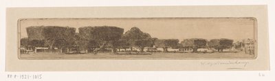 Árboles Waringin en el jardín del palacio del sultán en Yogyakarta
Plaza de Jogyakarta (título original) de Wijnand Otto Jan Nieuwenkamp (signed by artist)
