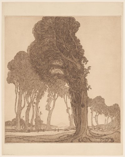 Parte de la carretera principal cerca de la dessa Cakranegara (Tjakranegara) en Lombok
El camino principal (título original) de Wijnand Otto Jan Nieuwenkamp