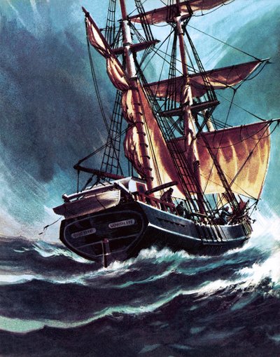 El marino de Wilf (20th century) Hardy