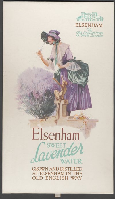Lavanda de Elsenham, años 1920 de Wilfred Fryer