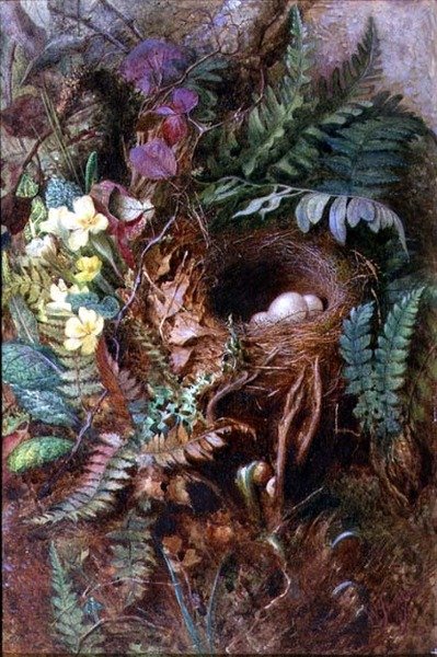Nido de Pájaros de Wilfred Jenkins