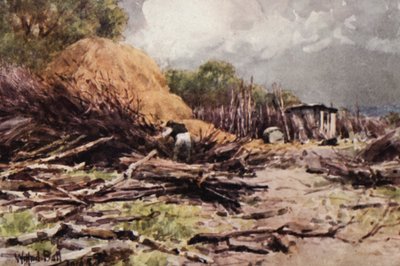 Japheth at Work (litografía en color) de Wilfrid Williams Ball