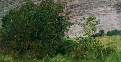 paisaje de Wilhelm Busch