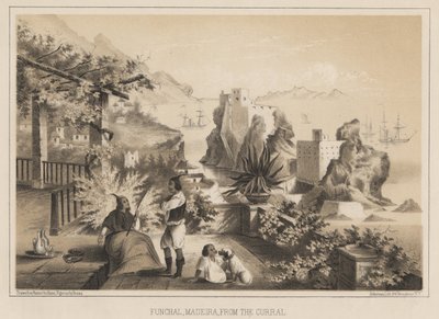 Funchal, Madeira, desde el Curral, 1885 de Wilhelm Joseph Heine