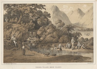 Aldea Kanaka, Islas Bonin, 1855 de Wilhelm Joseph Heine