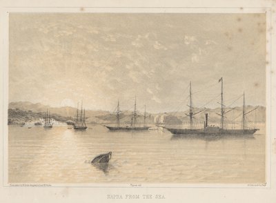 Napha del Mar, 1855 de Wilhelm Joseph Heine