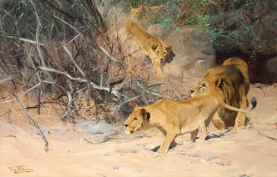 Una manada de leones al acecho de Wilhelm Kuhnert