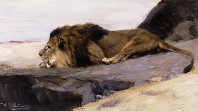 Un león descansando; Ruhender Lowe de Wilhelm Kuhnert