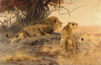 Un león y una leona en la sabana de Wilhelm Kuhnert