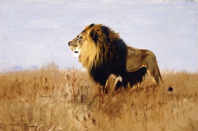 León Vigilando a su Presa de Wilhelm Kuhnert