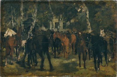 Coraceros desmontados de Wilhelm Trübner