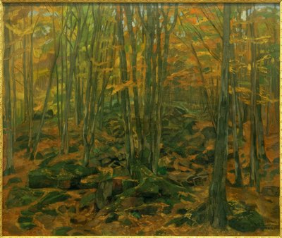 Escombros de roca en el Odenwald de Wilhelm Trübner