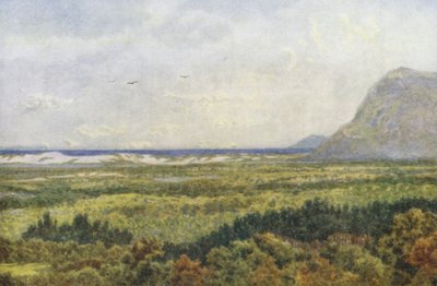 Constantia Valley y False Bay, con Cape Point (litografía en color) de Wilhelm Westhofen