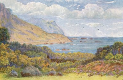 En la carretera Victoria, cerca de Oude Kraal (litografía en color) de Wilhelm Westhofen