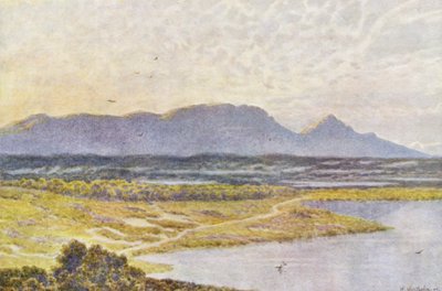 Table Mountain desde Retreat Flats (litografía en color) de Wilhelm Westhofen