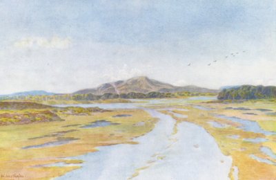 Tigerberg y el río Diep (litografía en color) de Wilhelm Westhofen
