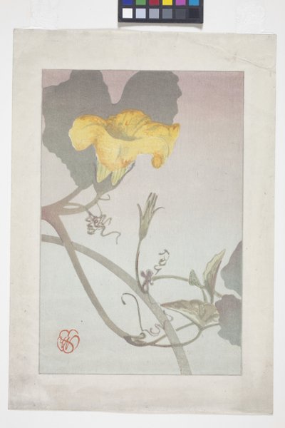Estudio floral de Wilhelmina Seegmiller