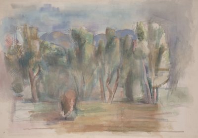 Estudio de Willard Nash