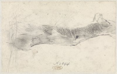Estudio de un árbol de Willem Anthonie van Deventer