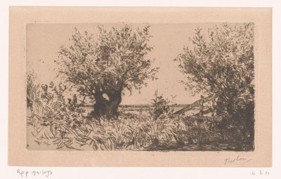 Paisaje con pradera, sauces desmochados y valla
Willows (Kaag) (título original) de Willem Bastiaan Tholen (signed by artist)