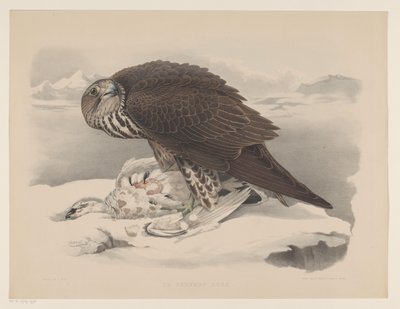 halcón gerifalte con perdiz nival Le gerfaut sors (título sobre objeto) de Willem Bastiaan van Wouw