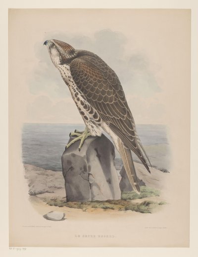 valk Le sacre hagard (título sobre objeto) de Willem Bastiaan van Wouw
