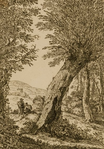 Paisaje con sauces de Willem Bemmel