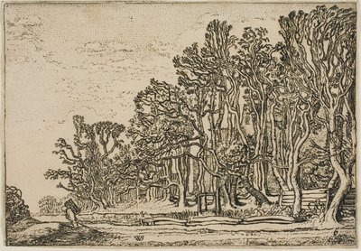 Paisaje con Cercas de Tablas y Hombre Cargando Madera de Willem Buytewech
