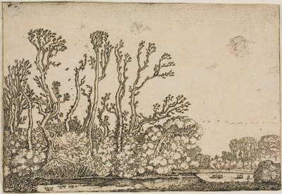 Paisaje con árboles, estanque y ovejas de Willem Buytewech