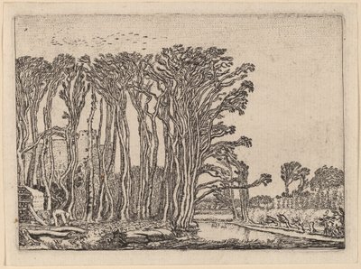 El Carbonero de Willem Buytewech