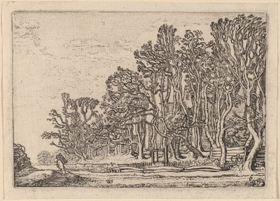 Dos cercas de tablones de Willem Buytewech