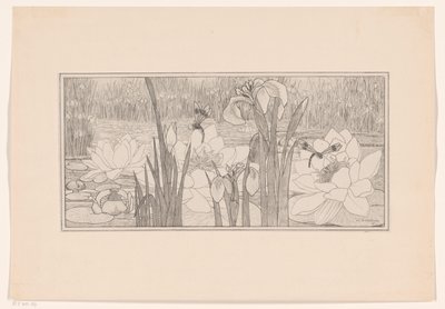 nenúfares de Willem C. Scherjon