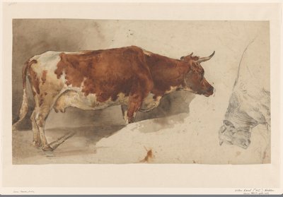 Vaca en pie, a la derecha, y boceto de un ganado de Willem Carel Nakken