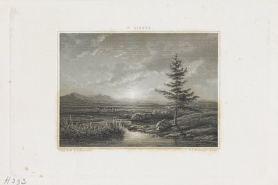 paisaje con un arroyo de Willem Frederik Wehmeyer