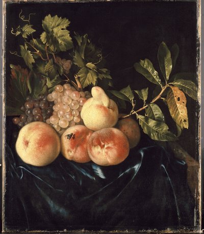 Naturaleza Muerta con Duraznos y Uvas de Willem Frederik van Royen