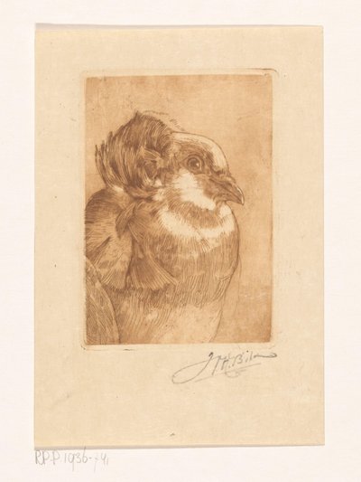 Estudio de una paloma de Willem Hendrik Bik (signed by artist)