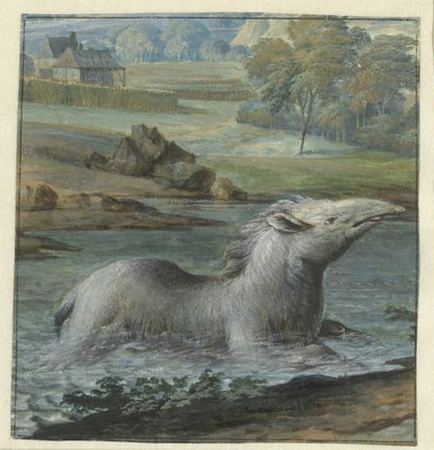 Tapir en el agua de Willem Hendrik Wilhelmus van Royen