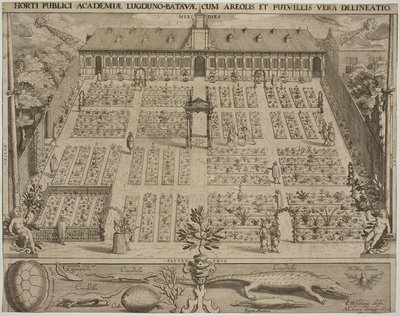 El jardín botánico en Leiden de Willem Isaaksz Swanenburgh