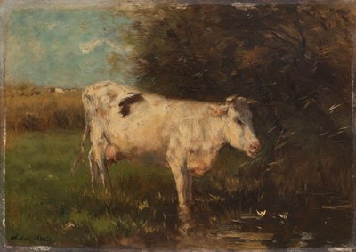 Vaca blanca de Willem Maris