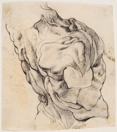 Estudio anatómico (écorché). Torso de un hombre desollado visto desde la espalda medio girado a la derecha de Willem Panneels