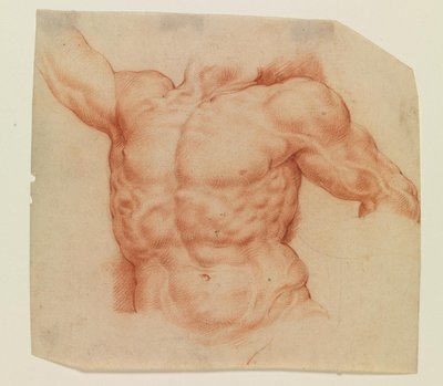 Vista frontal del torso de Laocoonte de Willem Panneels