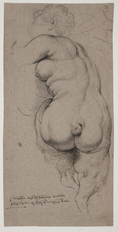 Fauno femenino, visto desde atrás de Willem Panneels