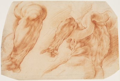 Laocoonte. Estudios del brazo izquierdo de Laocoonte y de la espalda de su torso visto desde la izquierda y desde abajo de Willem Panneels